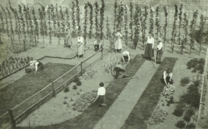 Leerlingen aan het werk in de tuin van Huis te Lande, 1918.